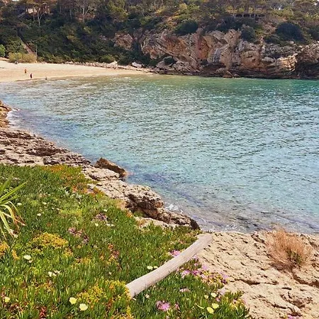 Colibri Salou